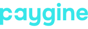 Paygine Paygine